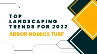 Top Landscaping Trends For 2022