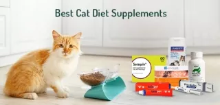 Vitamins & Supplements for Healthy & Happy Cat