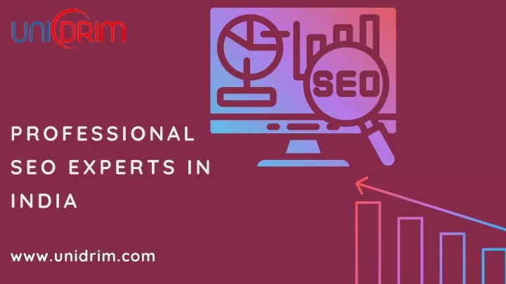 professional seo experts in india