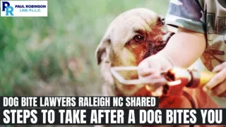 Dog Bite Lawyers Raleigh NC Shared Steps to Take After a Dog Bites You