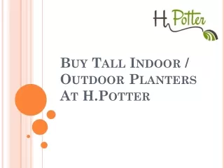 Buy Tall Indoor And Outdoor Planters At H.Potter