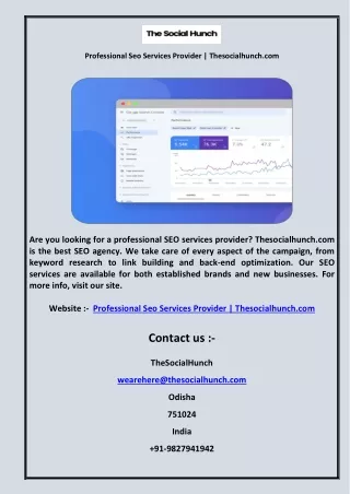 Professional Seo Services Provider  Thesocialhunch.com