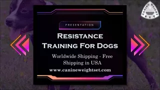 Resistance Training For Dogs
