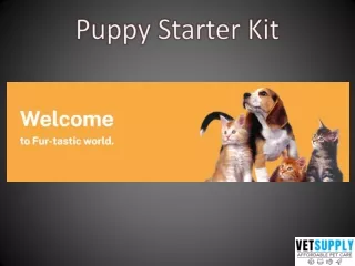 puppy starter kit
