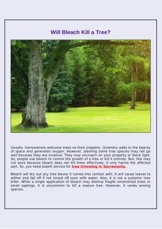 will bleach kill a tree