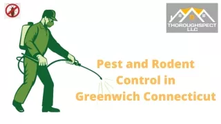 Pest Control Ridgefield Ct - Thoroughspect LLC