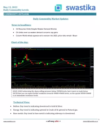 Commodity daily levels (13-May)