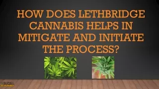 How Does Lethbridge Cannabis Helps In Mitigate And Initiate The Process