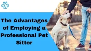the advantages of employing a professional