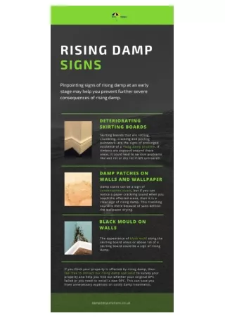 Rising Damp Signs to Avoid Severe Damping Issues