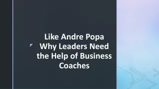 Like Andre Popa Why Leaders Need the Help of Business Coaches