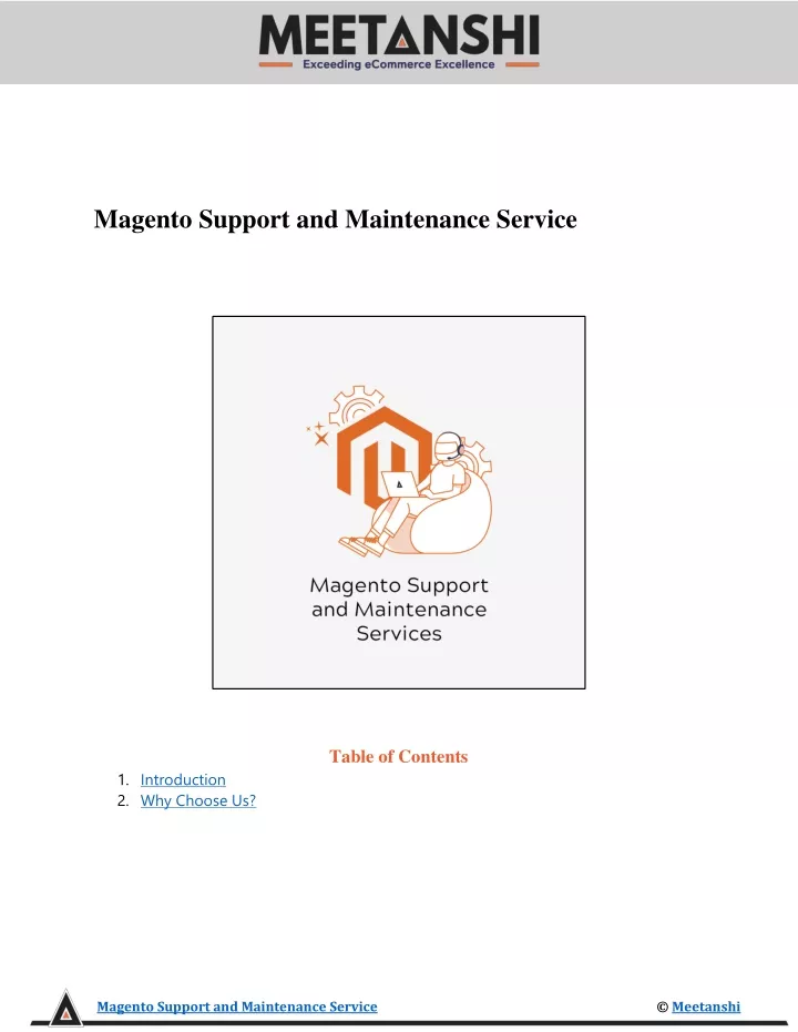 magento support and maintenance service