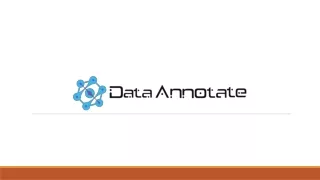 Data Annotation Services