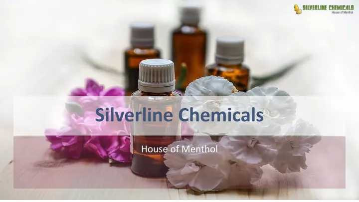 silverline chemicals