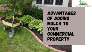 Advantages of Adding Mulch to Your Commercial Property