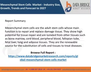 mesenchymal stem cells market industry size