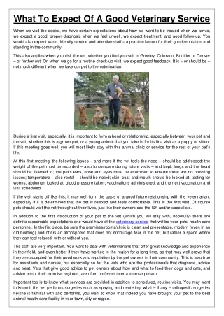 what to expect of a good veterinary service