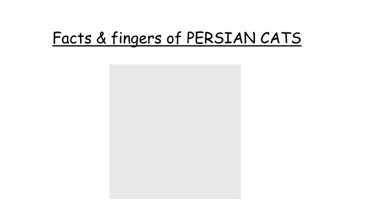 facts fingers of persian cats