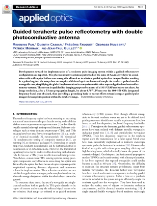 Guided-terahertz-pulse