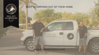 Keep Scorpions Out Of Your Home!