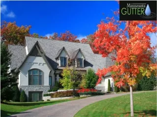 gutter company Gaylord mn