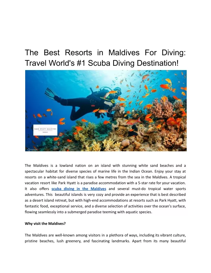 the best resorts in maldives for diving travel