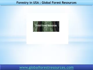 forestry in usa global forest resources