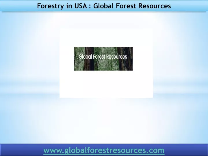 forestry in usa global forest resources
