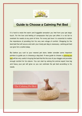 Guide to Choose a Calming Pet Bed