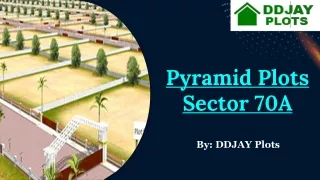 pyramid plots sector 70a