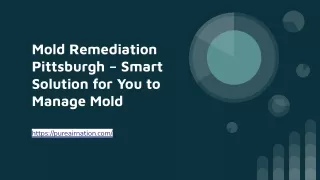Mold Remediation Pittsburgh – Smart Solution for You to Manage Mold