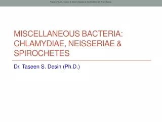 miscellaneous bacteria chlamydiae neisseriae spirochetes
