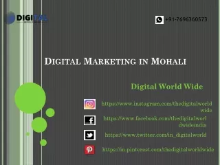 Digital Marketing in Mohali