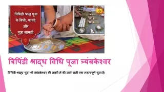 त्रिपिंडी श्राद्ध विधि (हिंदी) त्र्यंबकेश्वर