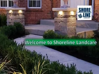 Wellcome To Shoreline Landcare