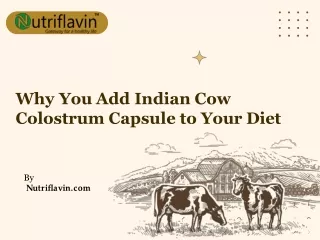 Why You Add Indian Cow Colostrum Capsule to Your Diet|Nutriflavin