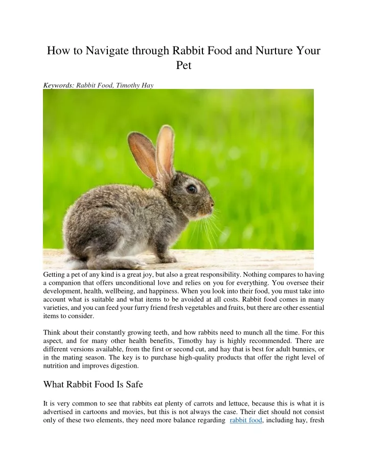 how to navigate through rabbit food and nurture