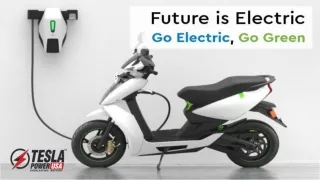 Future is Electric_ Go Electric, Go Green (1)