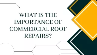 What Is The Importance OF Commercial Roof Repairs