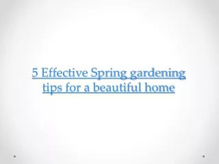5 Effective Spring Gardening Tips for a Beautiful Home