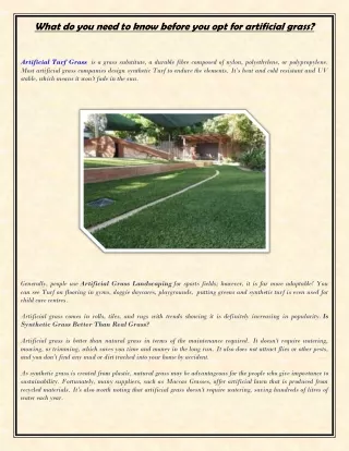What do you need to know before you opt for artificial grass?