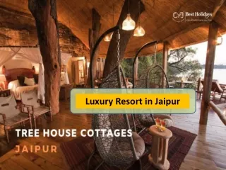 Tree House - Luxury Resort in Jaipur
