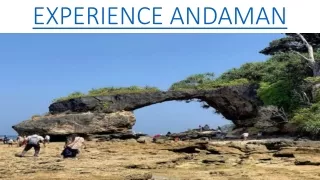 Ferry booking from Havelock to Port Blair