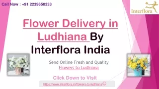 Online Flower Delivery in Ludhiana - Interflora India