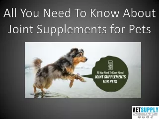 all you need to know about joint supplements