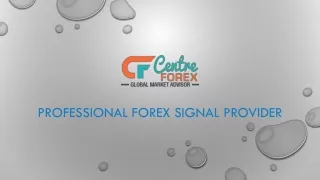Best Free Forex Signal Provider