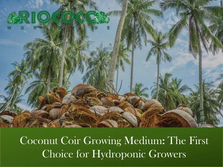 coconut coir growing medium the first choice