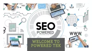 Best SEO Services Florida