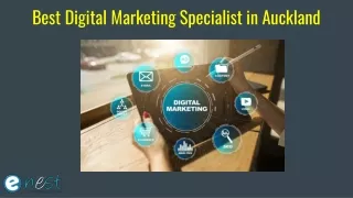 Best Digital Marketing Specialist in Auckland