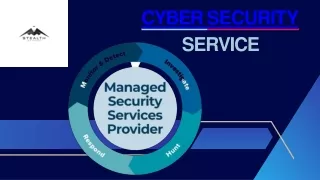 cyber security service